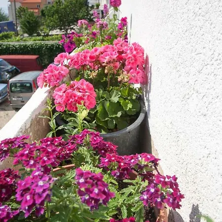 Ana Marija Apartament *